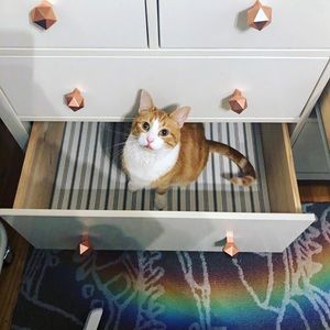 🐈ALL SOLD BELOW THIS POINT 🧡